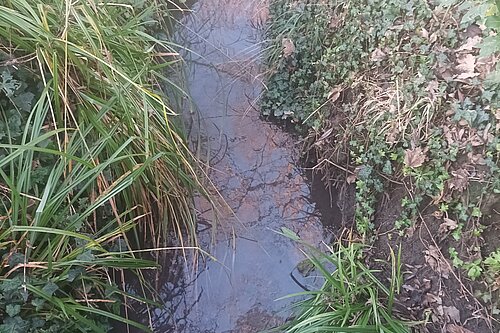 Water in small stream