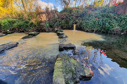 image of polluted stream